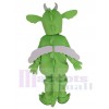 Dragon costume de mascotte