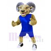 Ram costume de mascotte