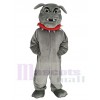 Bouledogue maskottchen kostüm