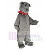 Bouledogue maskottchen kostüm