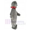 Bouledogue maskottchen kostüm