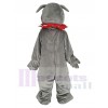 Bouledogue maskottchen kostüm