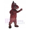 Dragon costume de mascotte