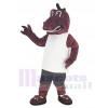 Dragon costume de mascotte