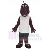 Dragon costume de mascotte
