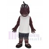 Dragon costume de mascotte