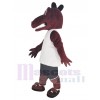 Dragon costume de mascotte