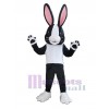 Lapin de Pâques costume de mascotte