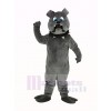 Féroce Gris Bouledogue Mascotte Costume