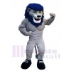 Lion costume de mascotte