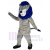 Lion costume de mascotte