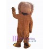 Lion costume de mascotte