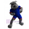 Bouledogue costume de mascotte