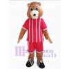 Ours costume de mascotte