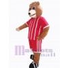 Ours costume de mascotte