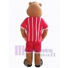Ours costume de mascotte