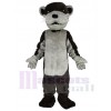 Loutre costume de mascotte