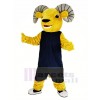 Licht marron sport RAM avec Bleu Gilet Mascotte Costume Animal