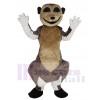 Suricate costume de mascotte