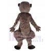 Suricate costume de mascotte