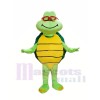 Tortue verte pas cher personnalisé Costumes De Mascotte