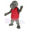 Tortue costume de mascotte