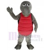 Tortue costume de mascotte