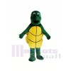 Petits costumes de mascotte tortue verte