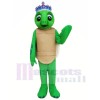 Toby Turtle Costumes De Mascotte