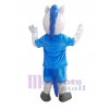 Cheval costume de mascotte