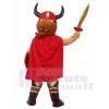 Pirate costume de mascotte