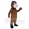 Ours costume de mascotte