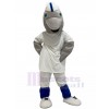 Dauphin costume de mascotte