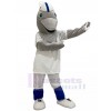 Dauphin costume de mascotte