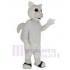 Écureuil costume de mascotte