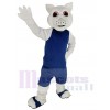 Écureuil costume de mascotte