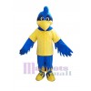 Coq costume de mascotte