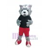 Loup costume de mascotte
