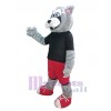 Loup costume de mascotte