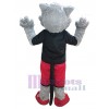 Loup costume de mascotte