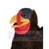 Dinde costume de mascotte