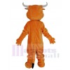 Taureau costume de mascotte