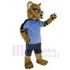 Raton Laveur costume de mascotte