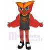 Hibou costume de mascotte