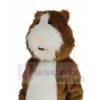 Hamster costume de mascotte