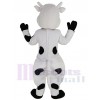 Vache costume de mascotte