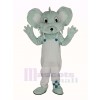 Gris Koala dans blanc Manteau Mascotte Costume