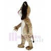 Lion costume de mascotte