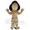 Lion costume de mascotte