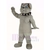 gris Bouledogue Mascotte Costume